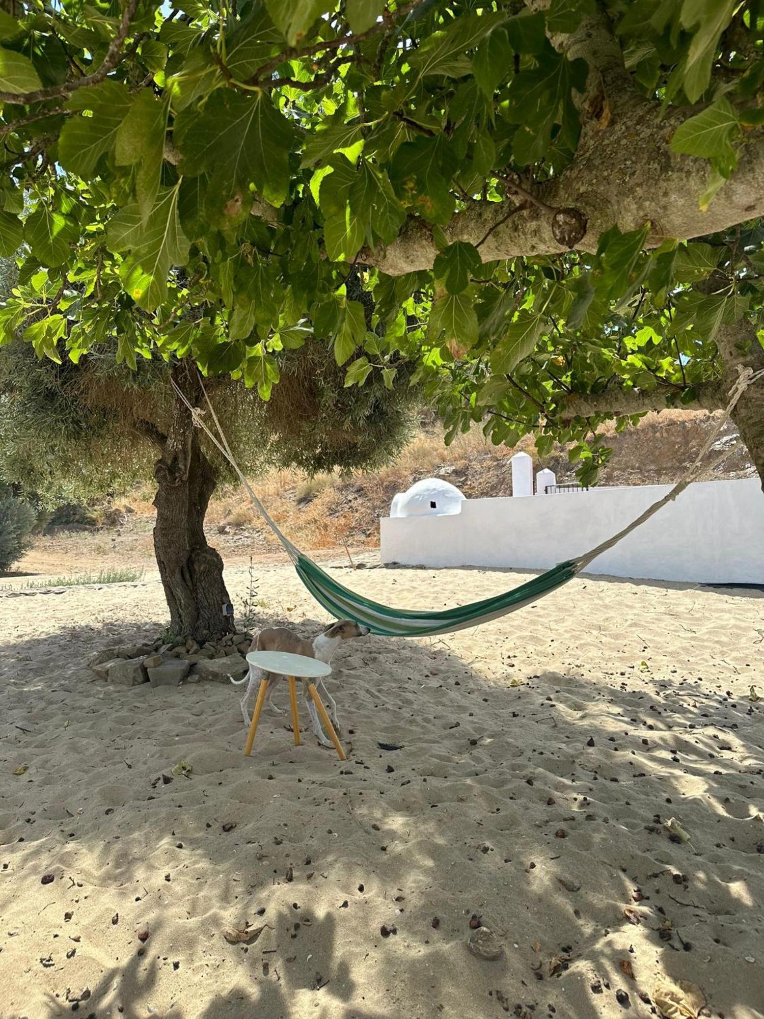 Magnifica Casa A Orillas Del Guadiana Huelva Buitenkant foto